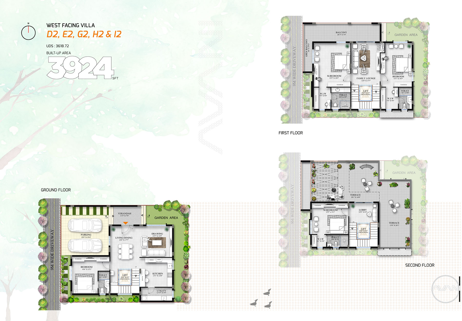 Floor Plan C & D Image