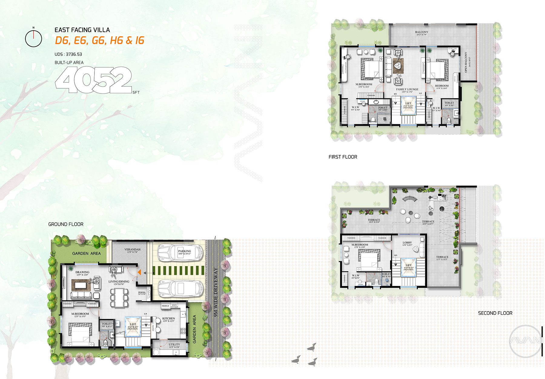 Floor Plan C & D Image