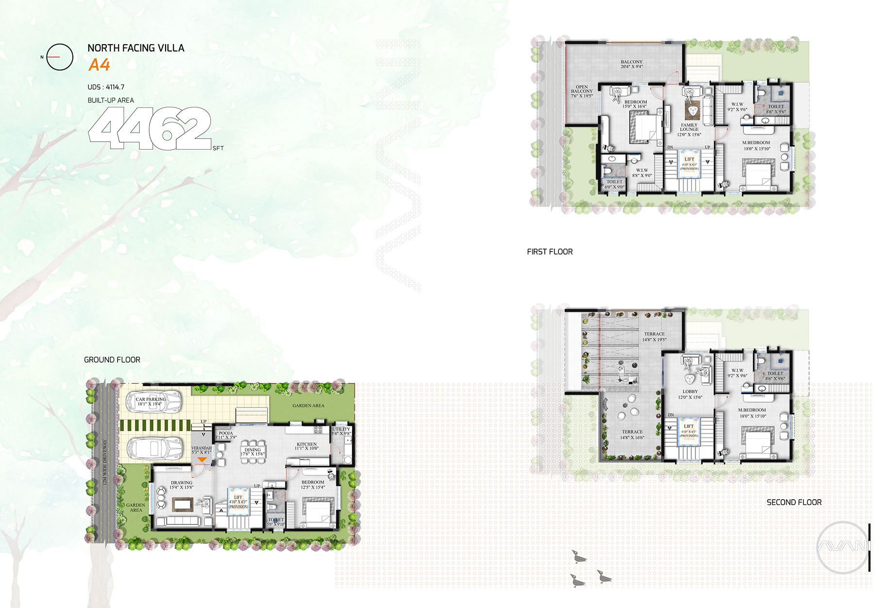 Floor Plan C & D Image